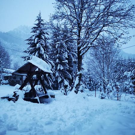 Cabana Valea Rea, Boga Boga  Kültér fotó