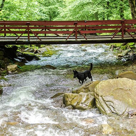 Cabana Valea Rea, Boga Boga  Kültér fotó