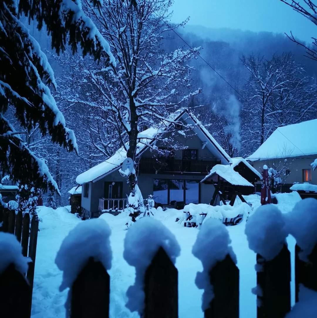 Cabana Valea Rea, Boga Boga  Kültér fotó