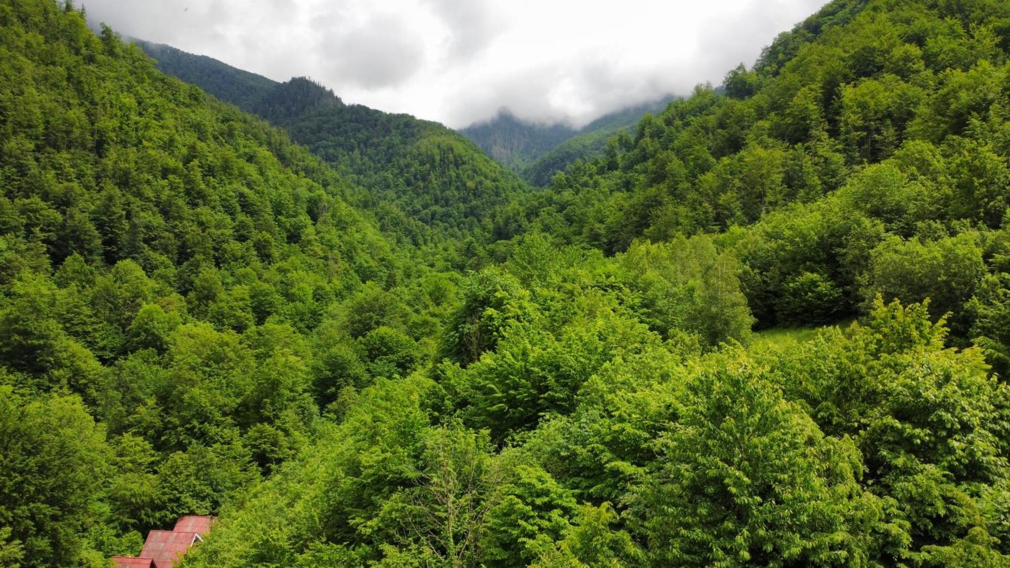 Cabana Valea Rea, Boga Boga  Kültér fotó